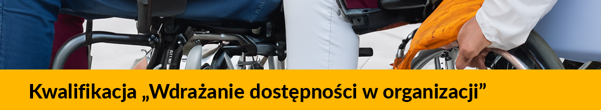 Kwalifikacja „Wdrażanie dostępności w organizacji” Tytuł podmenu dotyczący kwalifikacji zawodowych